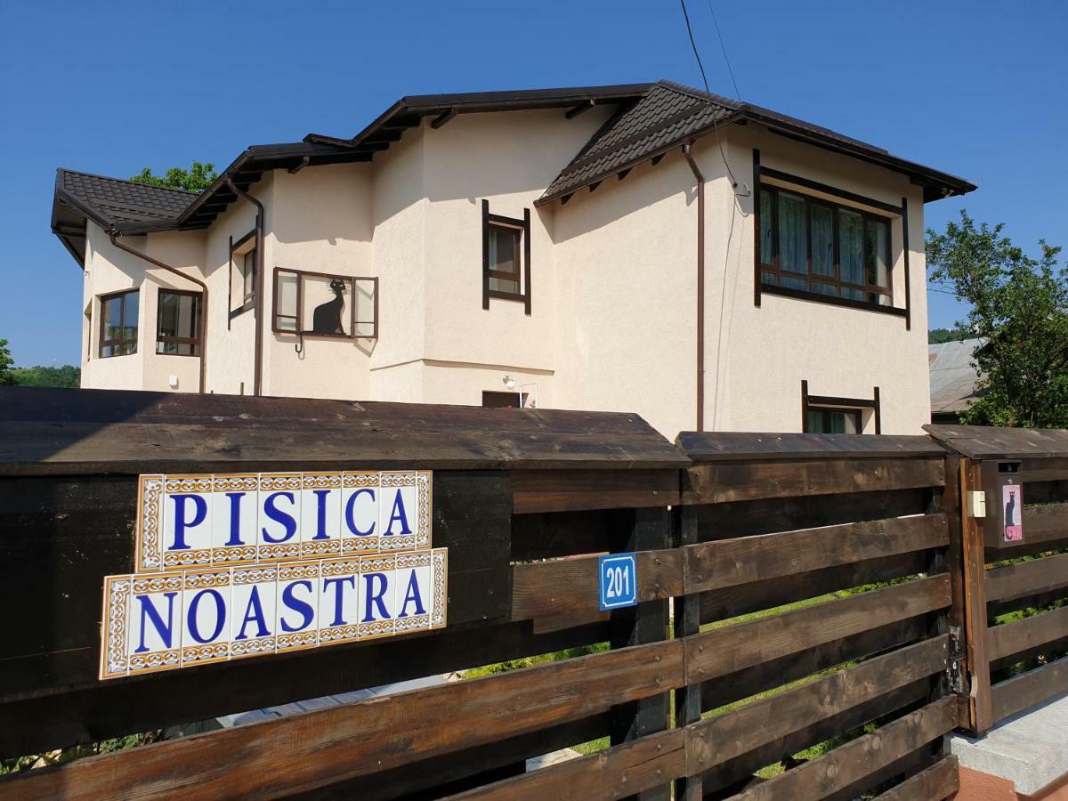 Casa Pisica Noastra Hotel Breaza  Ngoại thất bức ảnh